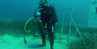 39,90€ από 70€ για μία κατάδυση γνωριμίας Scuba Diving με αυτόνομη συσκευή κατάδυσης σε ολιγομελή τμήματα & υπέροχη υποβρύχια φωτογράφηση με την Σχολή Κατάδυσης Dive Blue Dream στα Λιμανάκια Βάρκιζας.